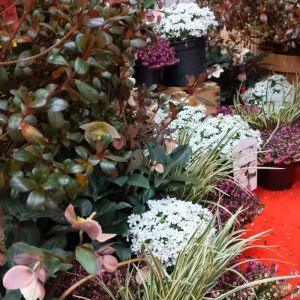 Impression Messestand ChamlandBau 2020